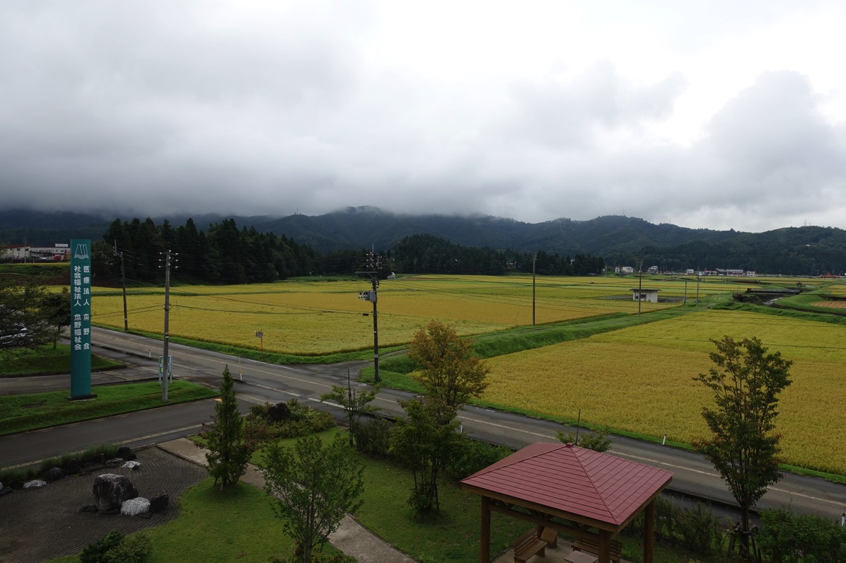 DSC00230